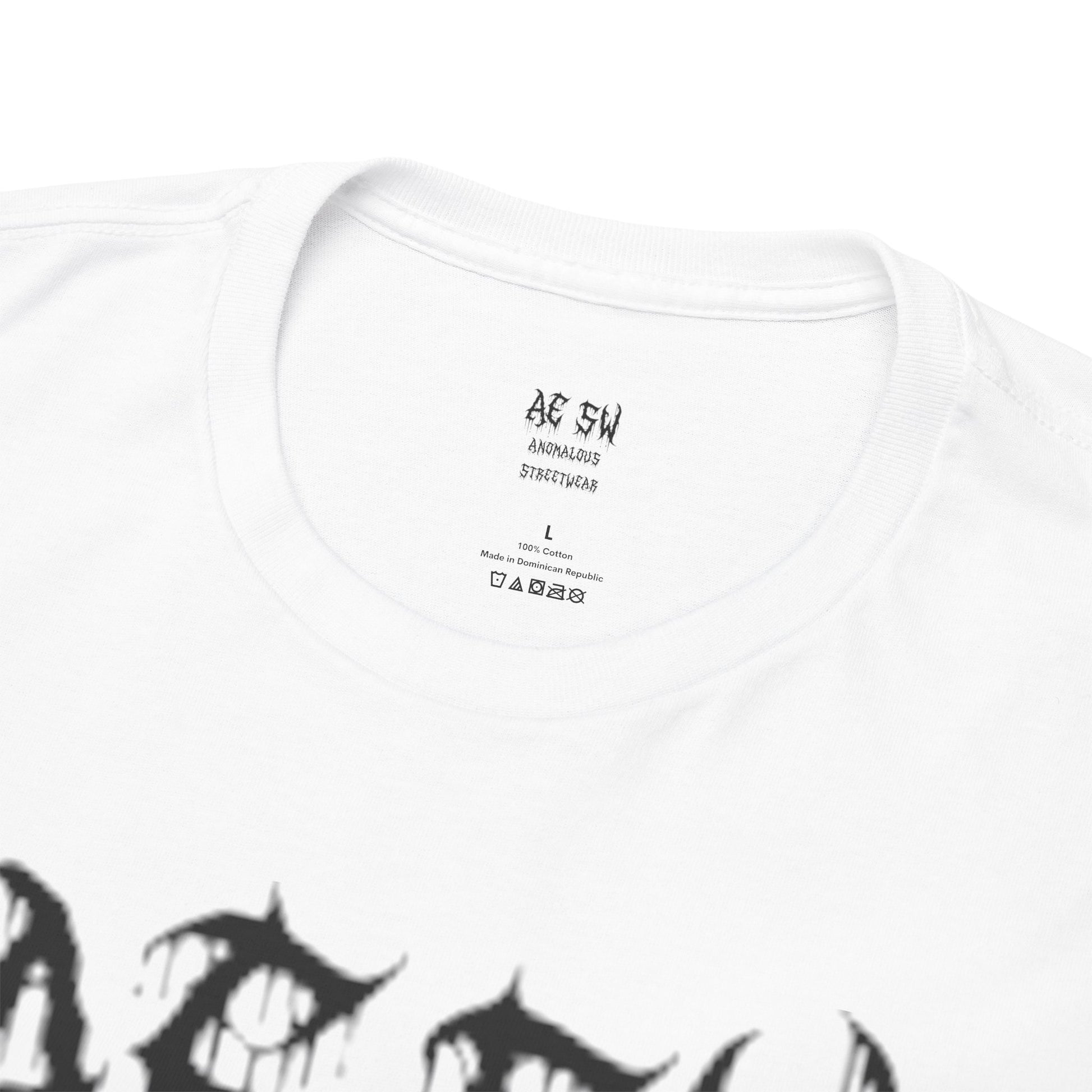 Anomalous Streetwear: Fall of the First Kingdom V10