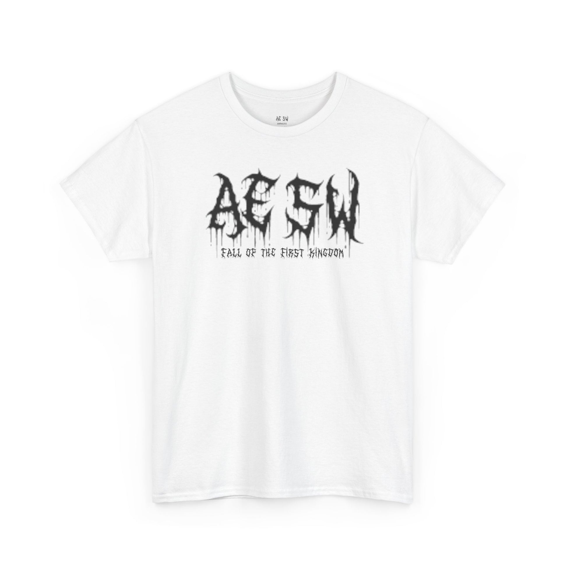 Anomalous Streetwear: Fall of the First Kingdom V10