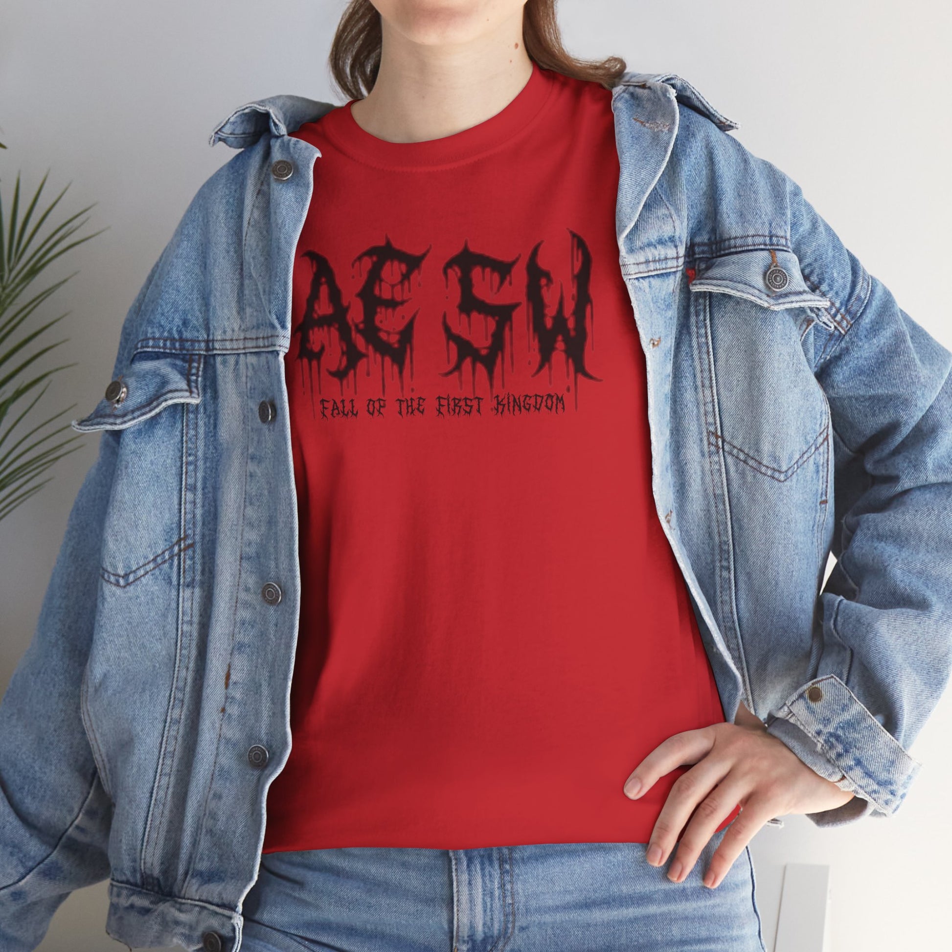 Anomalous Streetwear: Fall of the First Kingdom V10