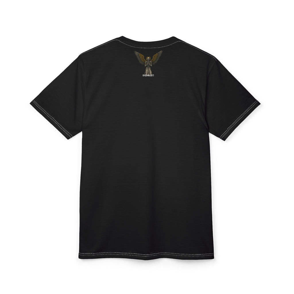 Fall/Winter 2025 Anomalous Streetwear Anomalous Entities: The Seraph & The Nemesis Series V4