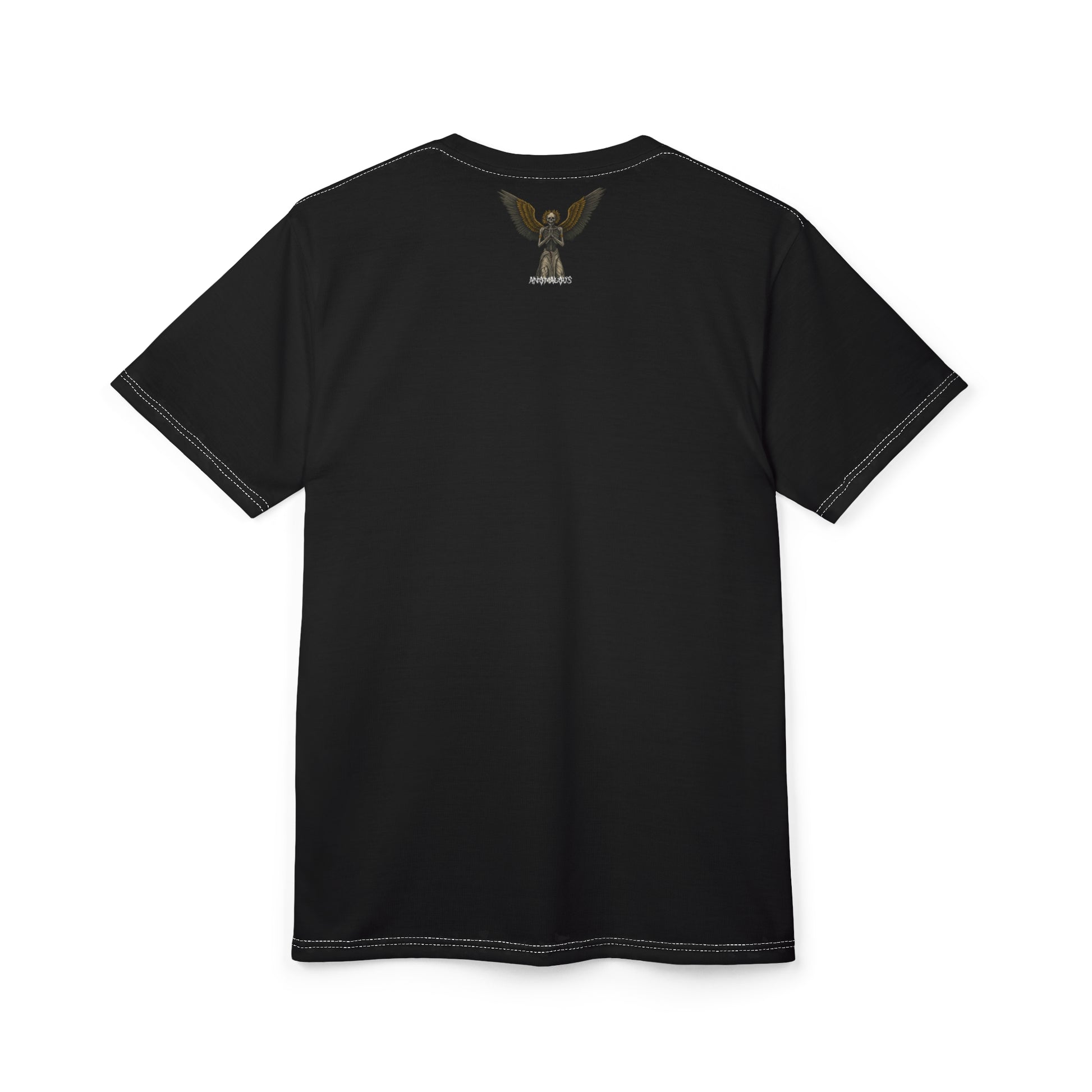 Fall/Winter 2025 Anomalous Streetwear Anomalous Entities: The Seraph & The Nemesis Series V4