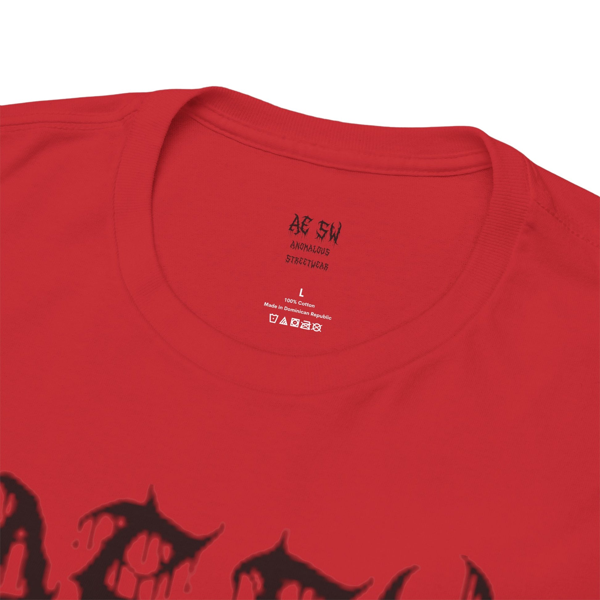 Anomalous Streetwear: Fall of the First Kingdom V10